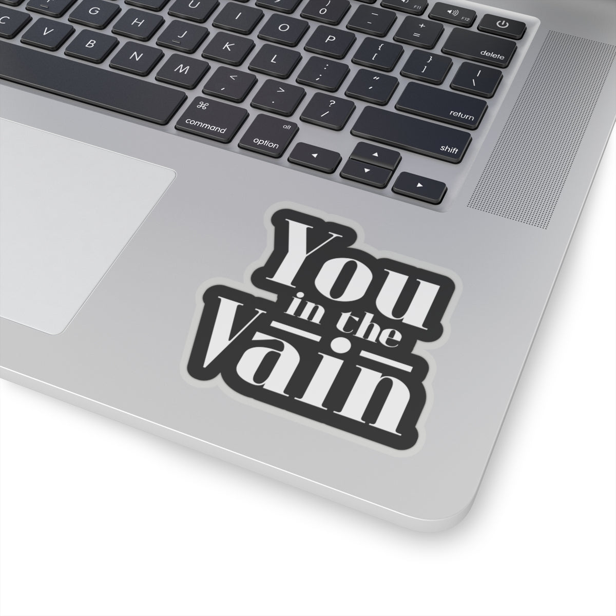 You in the Vain Kiss-Cut Stickers