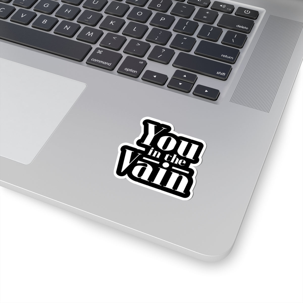 You in the Vain Kiss-Cut Stickers