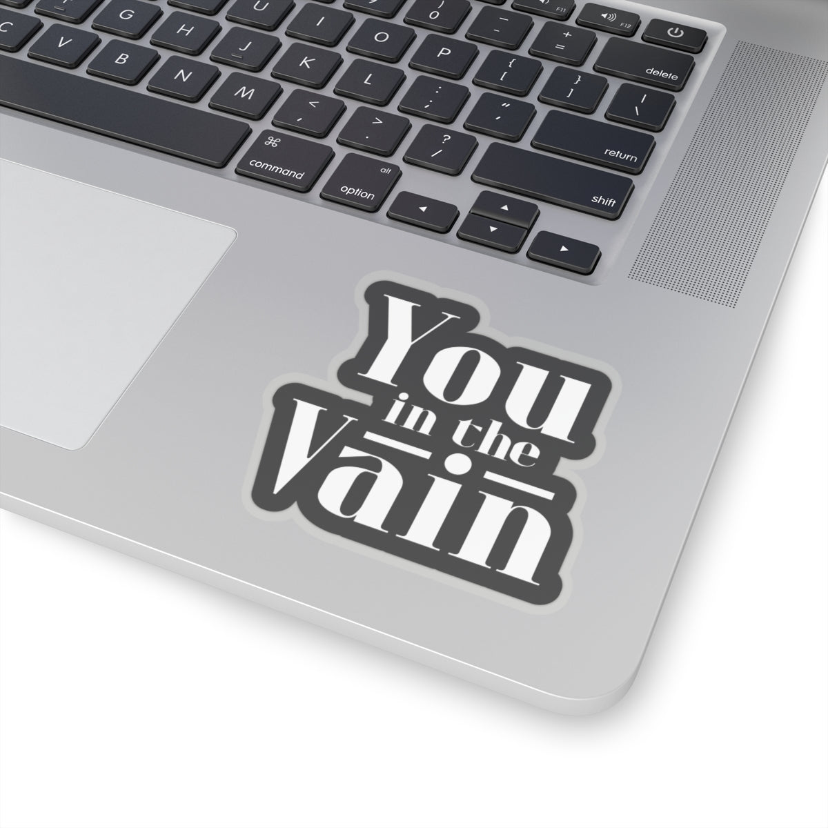 You in the Vain Kiss-Cut Stickers