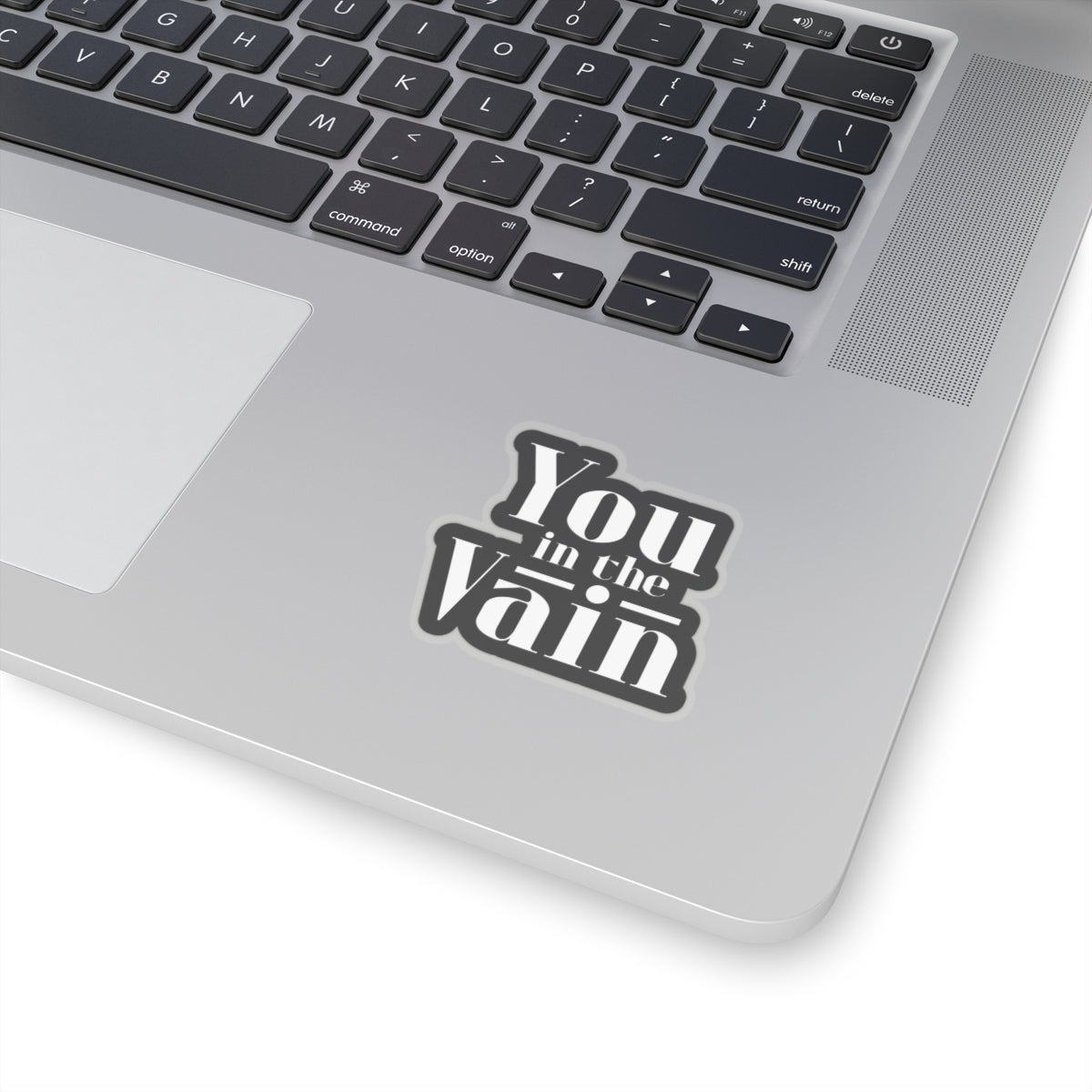 You in the Vain Kiss-Cut Stickers